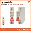 ลูกเซอร์กิต