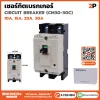เซอร์กิตเบรกเกอร์ 2P