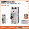 เซอร์กิตเบรกเกอร์ 2P