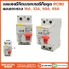 เมนเบรกเกอร์เซอร์กิต
