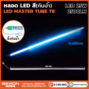 หลอดนีออน BEWON LIGHTING