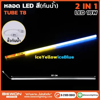หลอดนีออน BEWON LIGHTING